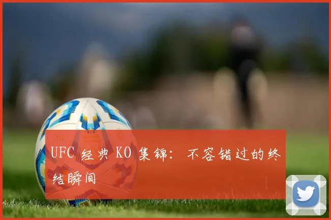 UFC 经典 KO 集锦:不容错过的终结瞬间