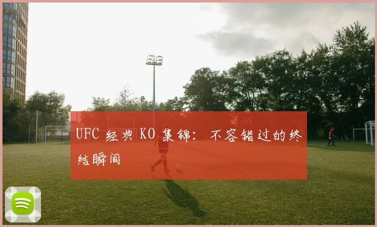UFC 经典 KO 集锦：不容错过的终结瞬间